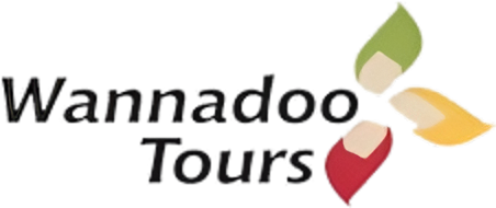 image-removebg-preview